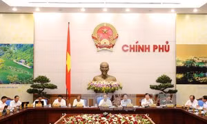 Từ 1/3/2017, tiến hành Tổng điều tra kinh tế 