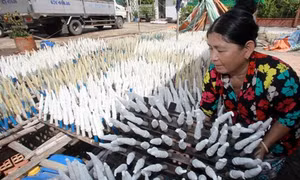 Hoàn thiện chính sách thu hút đầu tư vào nông nghiệp 