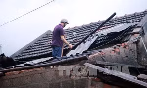 Lốc xoáy đầu mùa làm sập, hư hại 76 ngôi nhà tại Yên Bái