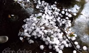 Mưa đá to kỷ lục tàn phá Tuyên Quang