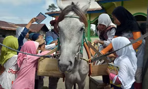 Độc đáo thư viện trên lưng ngựa