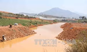 Tin thêm về vụ lấn chiếm hồ Đankia -Suối Vàng