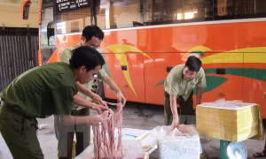 Thu giữ hàng trăm kg nội tạng và mực khô bốc mùi hôi thối 