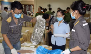 Thu giữ bưu kiện 82,5 kg thảo mộc nghi chứa ma túy cực mạnh