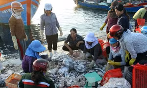 Giải quyết dứt điểm bồi thường cho ngư dân miền Trung