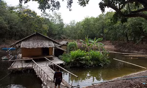 Hài hòa với thiên nhiên để phát triển bền vững