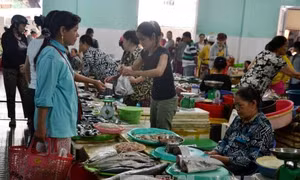 Đà Nẵng mở các điểm bán cá sạch 