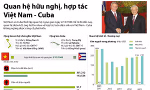 Quan hệ hữu nghị, hợp tác Việt Nam - Cuba