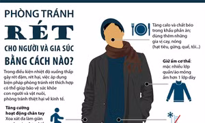 Phòng tránh rét cho người và gia súc bằng cách nào?