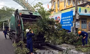 Mưa lớn, lốc xoáy gây nhiều thiệt hại ở Thừa Thiên - Huế 