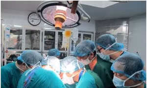Nghiên cứu khoa học y, dược cho trái ngọt