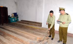 Đổ 8 m3 gỗ nghiến xuống đường rồi lái xe tháo chạy