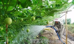 Giúp phạm nhân rèn luyện sớm thành công dân có ích