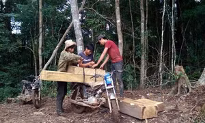 Thủ tướng yêu cầu làm rõ vụ việc được báo Tin Tức phản ánh
