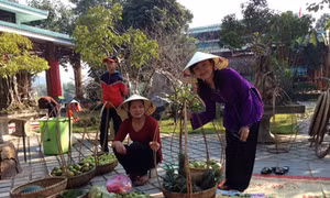 Quảng Bình: Hội chợ “Xuân về mang thương nhớ” thu hút du khách