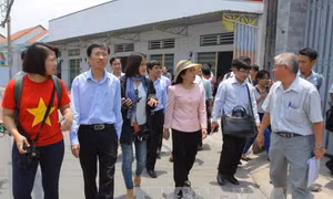 Hướng dẫn bệnh nhân Zika điều trị theo phác đồ