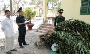 Cảnh báo về thú chơi nguy hiểm trong giới trẻ Phú Yên