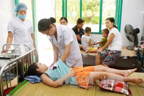 Chủ động phòng chống bệnh viêm não vi rút trong mùa hè ảnh 1