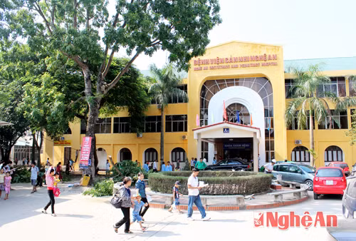 Nghệ An: Bảo vệ bị người nhà bệnh nhân đâm đã tử vong ảnh 1