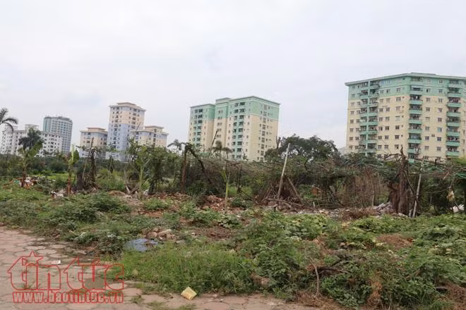 Sông Thủ đô 'thoi thóp' vì bùn, rác ảnh 6