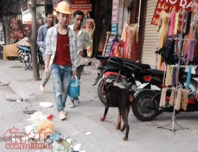 Hoảng hồn với chó không rọ mõm nơi công cộng ảnh 3
