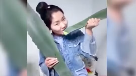 Bỏ dở livestream, cô gái vội nhập viện vì ăn nhầm lá độc ảnh 1