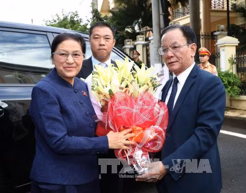 Chủ tịch Quốc hội Lào dự các hoạt động 'Năm đoàn kết hữu nghị Việt Nam-Lào 2017' ảnh 1