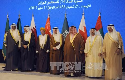 Các ngoại trưởng Arab sẽ nhóm họp giải quyết khủng hoảng Qatar ảnh 1