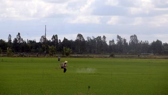 Tính lại bài toán cây lúa ở Tây Nam Bộ ảnh 1