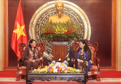 Phó Chủ tịch QH Tòng Thị Phóng tiếp Phó Chủ tịch HĐ Nhà nước Cuba ảnh 1