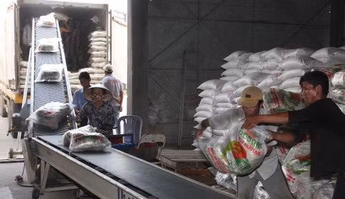Tiêu thụ hết lúa gạo nhờ xuất khẩu gạo thuận lợi ảnh 1