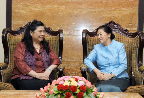 Phó Chủ tịch Quốc hội Tòng Thị Phóng chào xã giao Chủ tịch Quốc hội Lào ảnh 1
