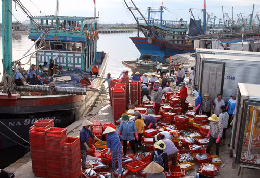 Bạn của ngư dân ảnh 1