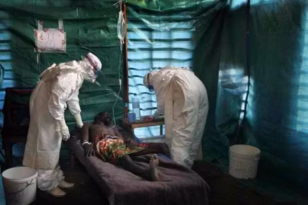 Quỹ Bill-Melinda Gates góp 50 triệu USD chống dịch Ebola ảnh 1