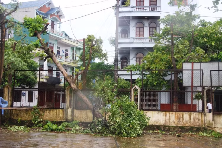 Quảng Ninh thiệt hại khoảng 20 tỷ đồng do bão số 3 ảnh 7