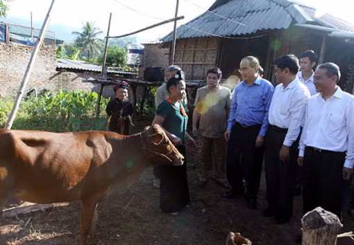 Mặt trận Tổ quốc cần phát huy vai trò, giúp dân thoát nghèo ảnh 1
