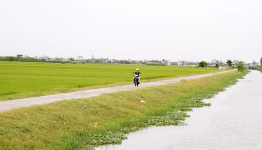 Hải Hậu xây dựng Nông thôn mới từ nhà ra xóm ảnh 2