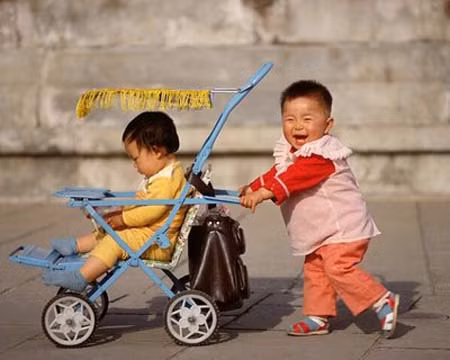 Những bức ảnh hài hước ảnh 7