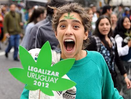 Chính phủ Uruguay định bán cần sa cho dân ảnh 1