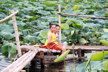 Phong trào chụp ảnh với hoa sen: Tìm lại một nét xưa ảnh 2