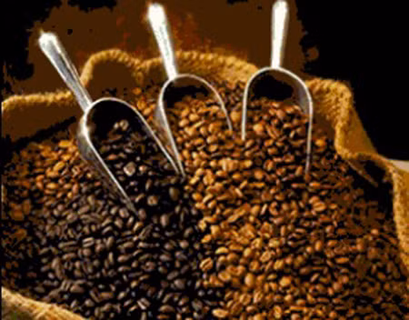 Cà phê arabica ở mức cao nhất 4 tuần qua ảnh 1