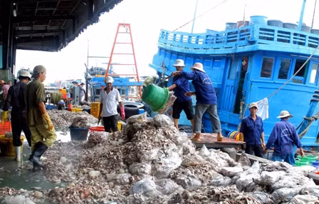 Gần 61.000 tỷ đồng phát triển ngành thủy sản đến năm 2020 ảnh 1