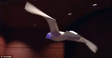 Máy bay “côn trùng” – tương lai của do thám quân sự ảnh 1