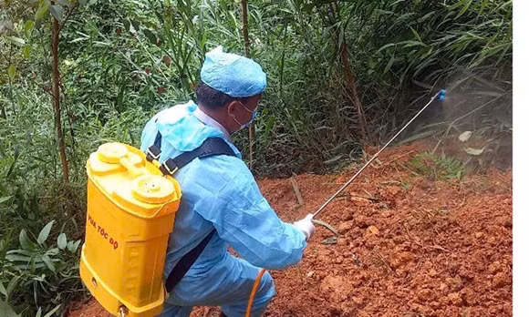 Lạng Sơn đảm bảo an toàn thúc đẩy phát triển chăn nuôi