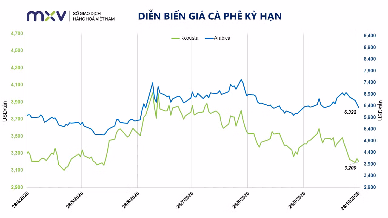 gia-ca-phe-ky-han.png