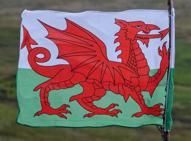 Biểu tượng rồng trên Quốc kỳ xứ Wales. Ảnh: Getty Images
