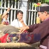 Độc đáo lễ cúng hồn trâu của người Lự