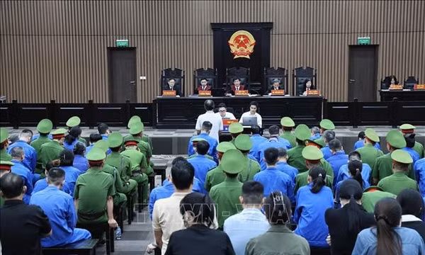 Vụ Viện Pháp y tâm thần Trung ương: Các bị cáo ăn năn hối cải
