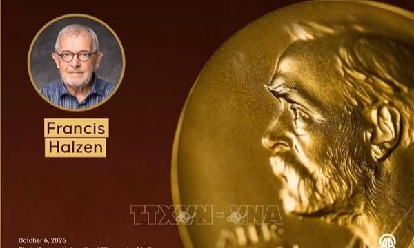 Chân dung nhà khoa học người Mỹ gốc Bỉ Francis Halzen giải Nobel Vật lý năm 2026. Ảnh: AA/TTXVN phát