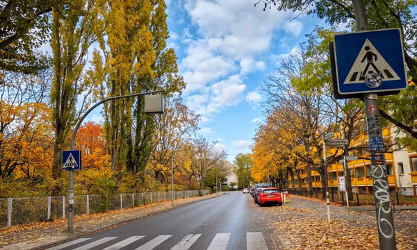 Lá vàng rực trên phố Volkradstraße ở thủ đô Berlin (Đức). Ảnh: Thuỳ Linh – P/v TTXVN tại Đức